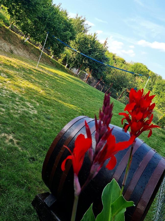 Small Hill Heaven Vakantiehuis Varazdin Breg